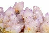 Spectacular Cactus Amethyst Crystal Cluster - South Africa #283984-2